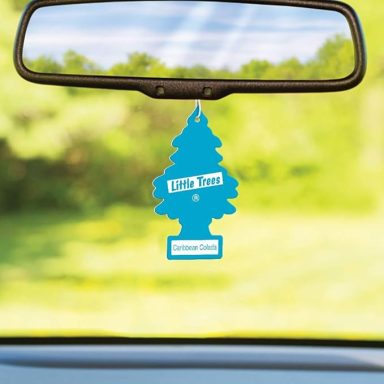 12-Pack Car Air Fresheners